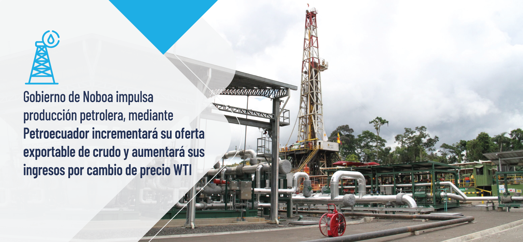 Boletín de Prensa 42